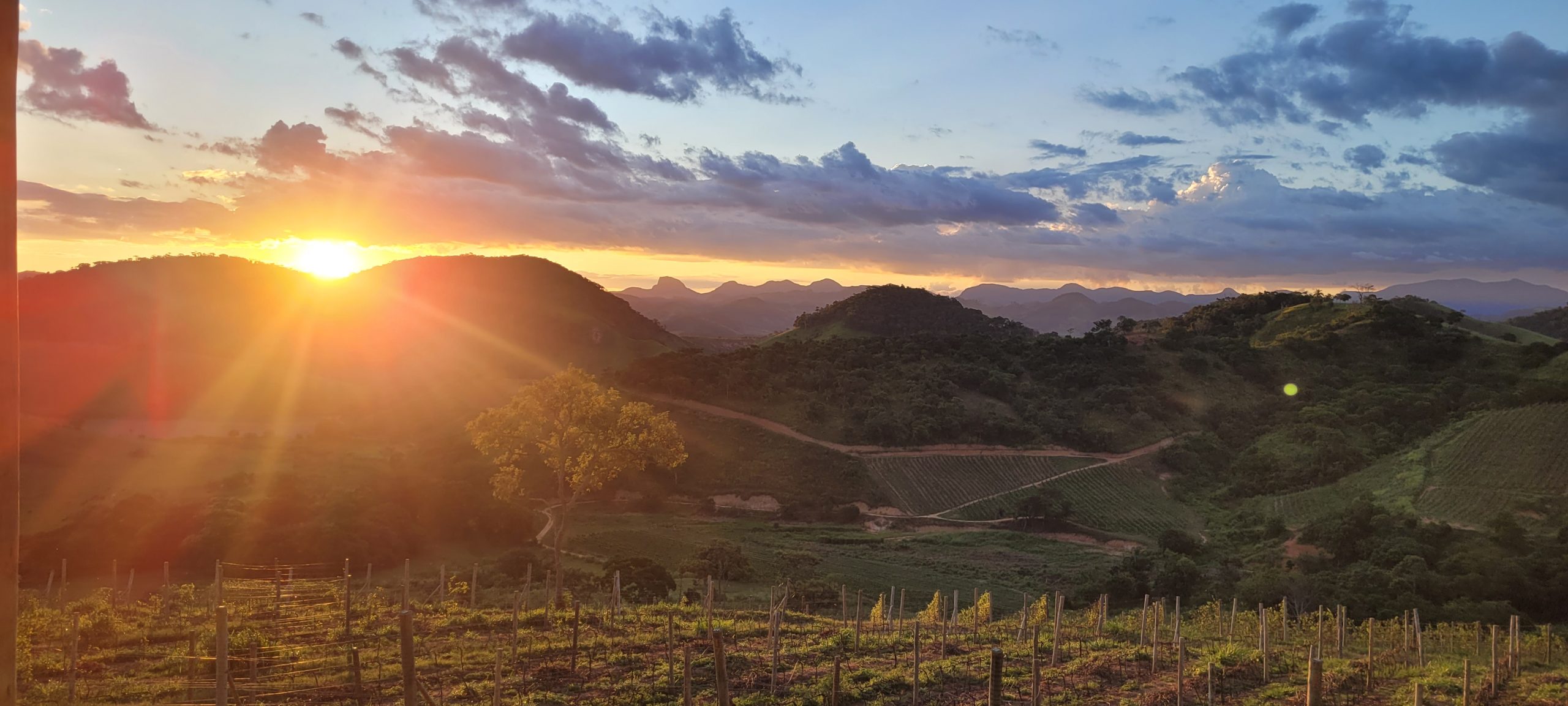 Vinícola Campo de Estrelas