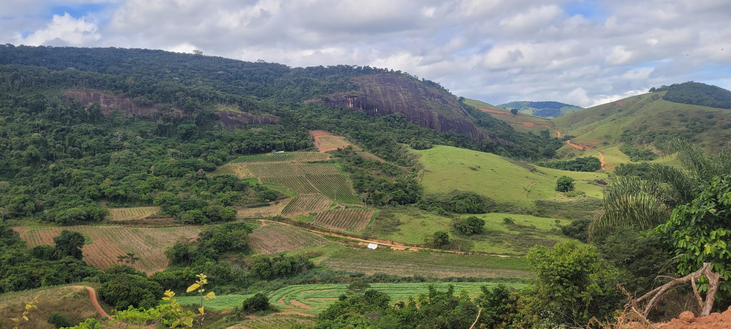 Vinícola Campo de Estrelas