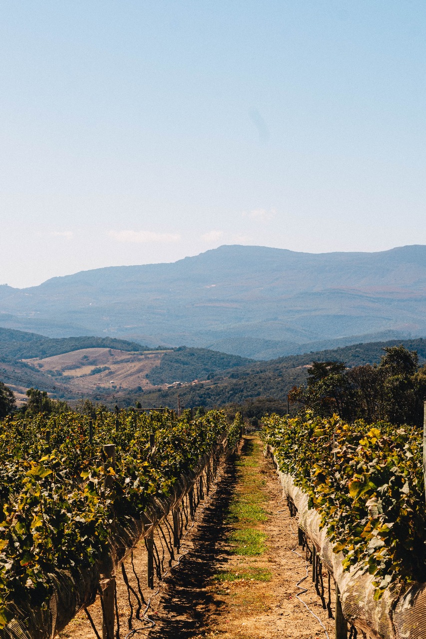 Vinícola Boutique Quinta de Glaura