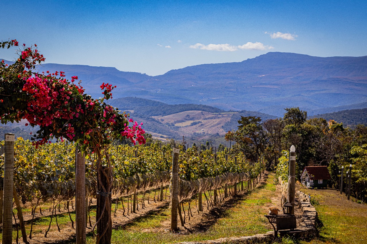 Vinícola Boutique Quinta de Glaura